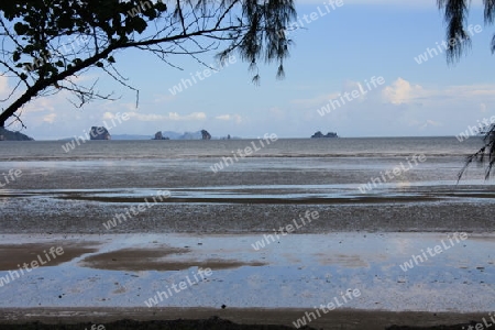 lonely Beach