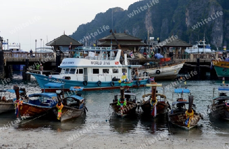 A Beach in the Town of Ko PhiPhi on Ko Phi Phi Island outside of  the City of Krabi on the Andaman Sea in the south of Thailand. 