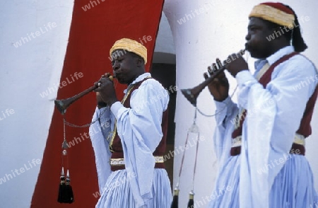 Musiker bei einem Auftritt in Houmt Souq auf der Insel Jerba am Mittelmeer  in Tunesien in Nordafrika.  