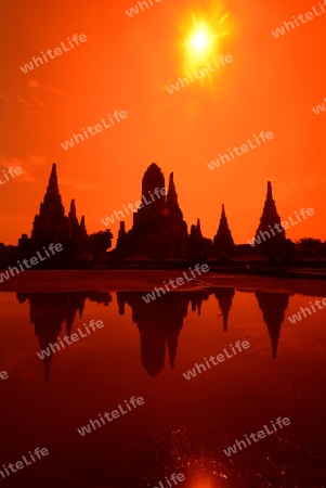 The Wat Chai Wattanaram Temple in City of Ayutthaya in the north of Bangkok in Thailand, Southeastasia.