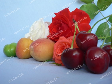 Rose and fruits