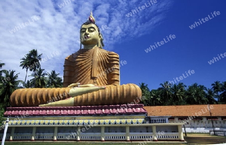 Eine Buggha Figur im Weherahena Tempel im sueden von Sri Lanka in Asien.