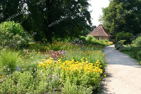 Auf der Insel