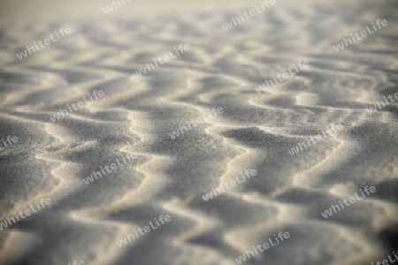 the Sanddunes at the Playa des Ingles in town of Maspalomas on the Canary Island of Spain in the Atlantic ocean.