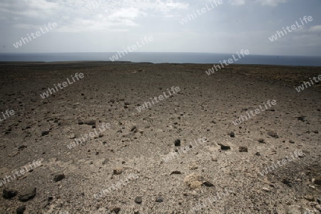 the Landscape of the Jandia Natural Parc on the south of the Island Fuerteventura on the Canary island of Spain in the Atlantic Ocean.