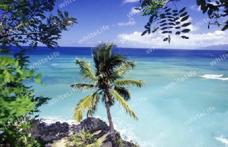 the landscape on the coast of the village Moya on the Island of Anjouan on the Comoros Ilands in the Indian Ocean in Africa.   