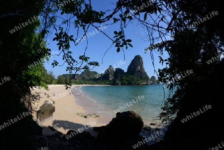 The Hat Railay Leh Beach at Railay near Ao Nang outside of the City of Krabi on the Andaman Sea in the south of Thailand. 