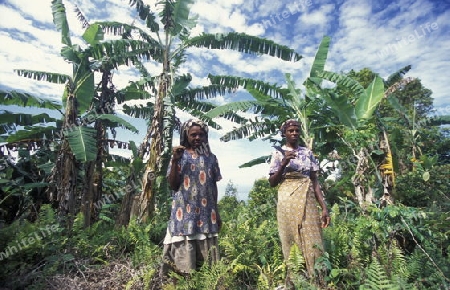 a women in the city of Moutsamudu on the Island of Anjouan on the Comoros Ilands in the Indian Ocean in Africa.   