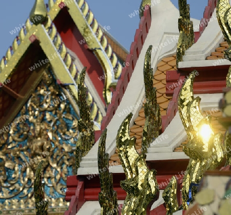 Die Tempelanlage des Wat Pho in der Hauptstadt Bangkok von Thailand in Suedostasien.