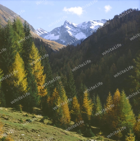 Herbst in S?dtirol