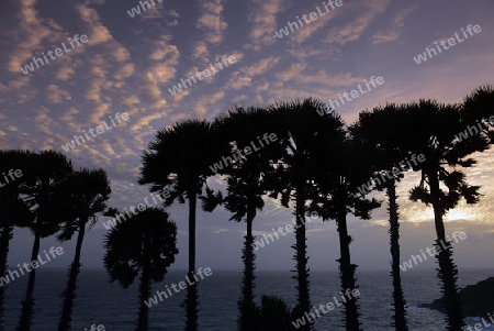 Der Aussichtspunkt Kap Promthep bei der Rawai Beach im sueden der Insel Phuket im sueden von Thailand in Suedostasien.