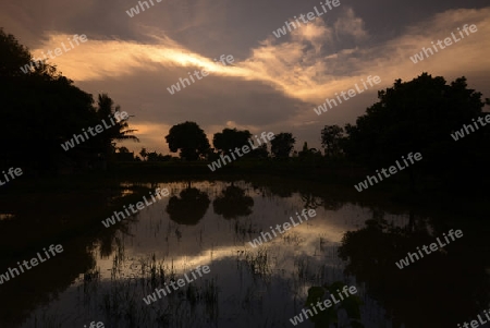 Die Abendstimmung in der Provinz Amnat Charoen nordwestlich von Ubon Ratchathani im nordosten von Thailand in Suedostasien.