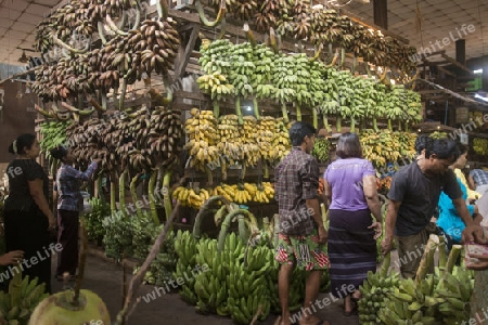 a big Banana Shop in a Market near the City of Yangon in Myanmar in Southeastasia.