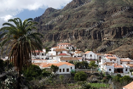 the  mountain Village of  Fataga in the centre of the Canary Island of Spain in the Atlantic ocean.