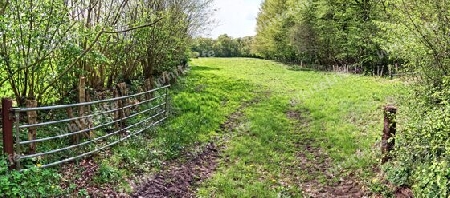 Beautiful high resolution panorama of a northern european country landscape with fields and green grass.