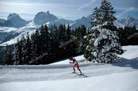 Biathlon European Cup Final - Gurnigel CH