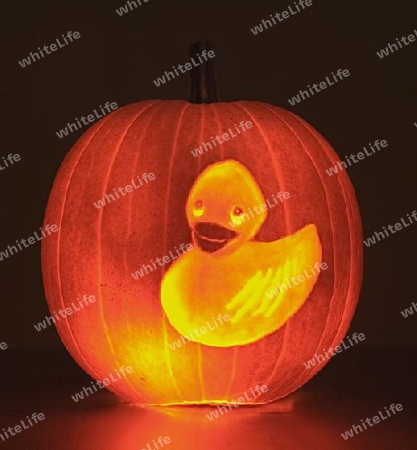 Halloween K?rbis - Ente / Pumpkin