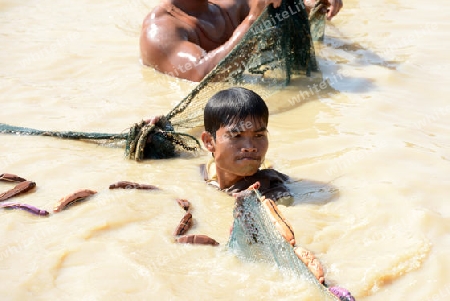 The People at wort in the Lake Village Kompong Pluk at the Lake Tonle Sap near the City of Siem Riep in the west of Cambodia.