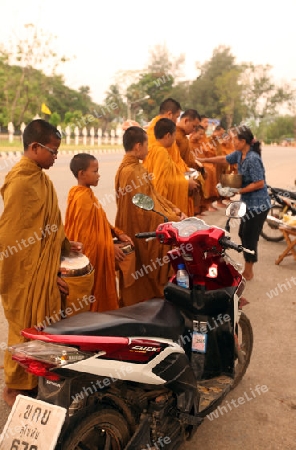 Moenche ziehen am fruehen morgen durch Alt-Sukhothai in der Provinz Sukhothai im Norden von Thailand in Suedostasien.