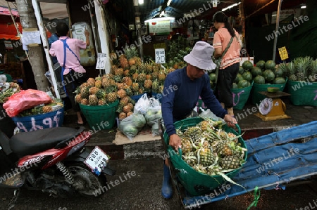 Ananas auf dem Talat Warorot Markt in Chiang Mai in der Provinz Chiang Mai im Norden von Thailand in Suedostasien.