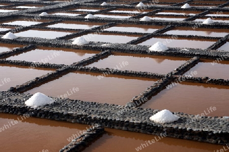 the Salinas of Las Salinas on the Island Fuerteventura on the Canary island of Spain in the Atlantic Ocean.