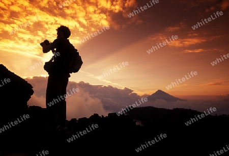 the landscape allound the Volcano Pacayal near the City of Guatemala City in Guatemala in central America.   