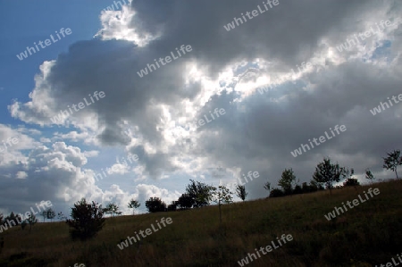 Sturm?. Streuobstwiese