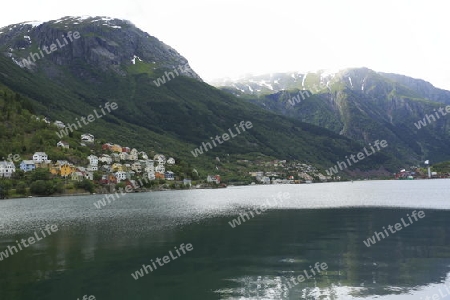 am Hardangerfjord