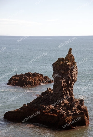 Der Westen Islands, die Klippen der Steilk?ste von Arnastapi auf der S?dseite der Halbinsel Sn?fellsnes