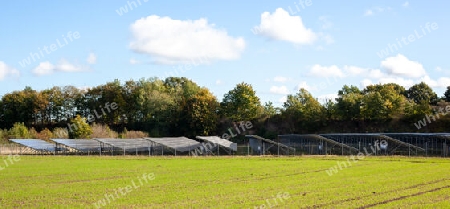 Generating clean energy with solar modules in a big park in northern Europe.