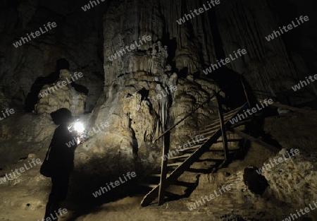 Die Hoehle Cave Pangmapha in der Bergregion von Soppong im norden von Thailand in Suedostasien.