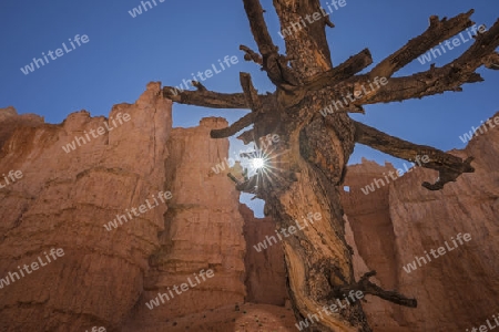 Bryce Canyon