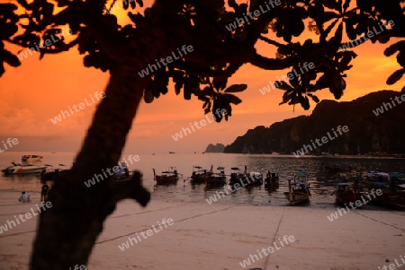 A Beach in the Town of Ko PhiPhi on Ko Phi Phi Island outside of  the City of Krabi on the Andaman Sea in the south of Thailand. 