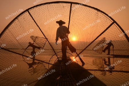 Fishermen at sunrise in the Landscape on the Inle Lake in the Shan State in the east of Myanmar in Southeastasia.