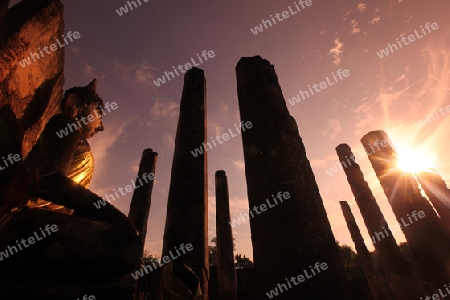 Der Wat Phra Si Ratana Mahathat im Si Satchanalai-Chaliang Historical Park rund 50 Km von Sukhothai in der Provinz Sukhothai im Norden von Thailand in Suedostasien.