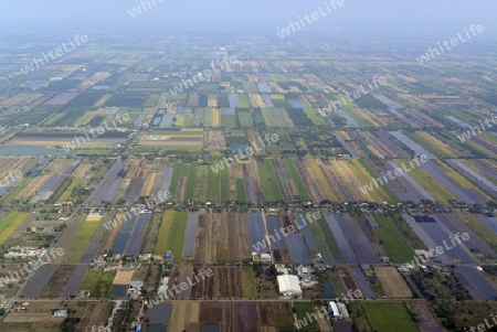 Die Landwirtschaft am rande der Stadt Bangkok in Thailand in Suedostasien.