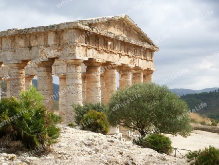 Segesta