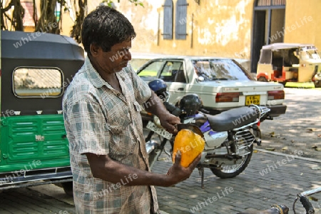 Zubereitung einer Trink-Kokosnuss in Sri Lanka