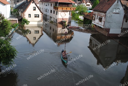 Hochwasser Rhein-Neckar