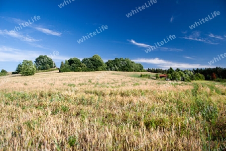 Landschaft im Th?ringen