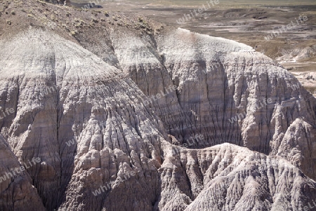 Petrified Forrest Naturpark USA 6