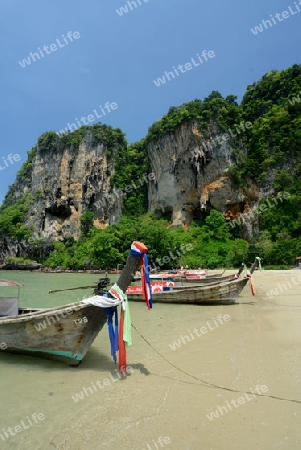 The Hat Tom Sai Beach at Railay near Ao Nang outside of the City of Krabi on the Andaman Sea in the south of Thailand. 