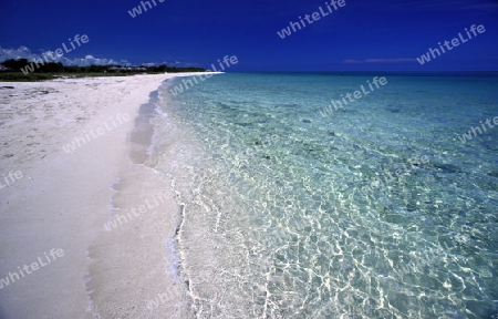 a beach on the coast of Varadero on Cuba in the caribbean sea.