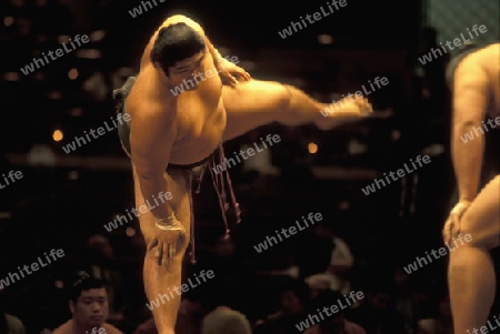 a Sumo fight in the Sumo Arena in the City centre of Tokyo in Japan in Asia,