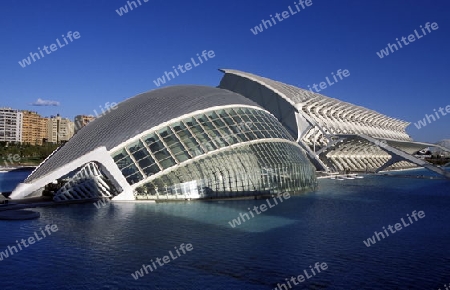 Das L Hemisferic und das Museum de Las Ciencies Principe Felipe  im Modernen Stadtteil von Valenzia in Spanien in Europa.