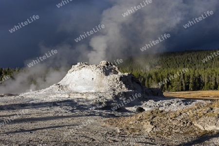 Yellowstone National Park