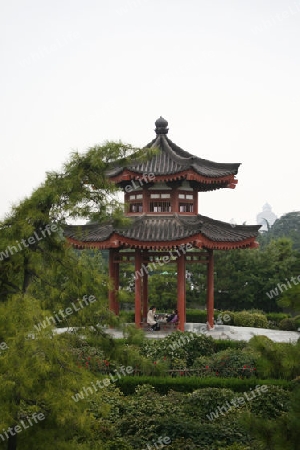 Wildganspagode in der Altstadt von Xian, China - Aussenanlage