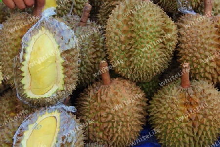 Durian - Frucht