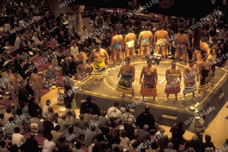 a Sumo fight in the Sumo Arena in the City centre of Tokyo in Japan in Asia,