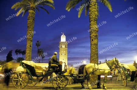 The Mosque Koutoubia in the old town of Marrakesh in Morocco in North Africa.
